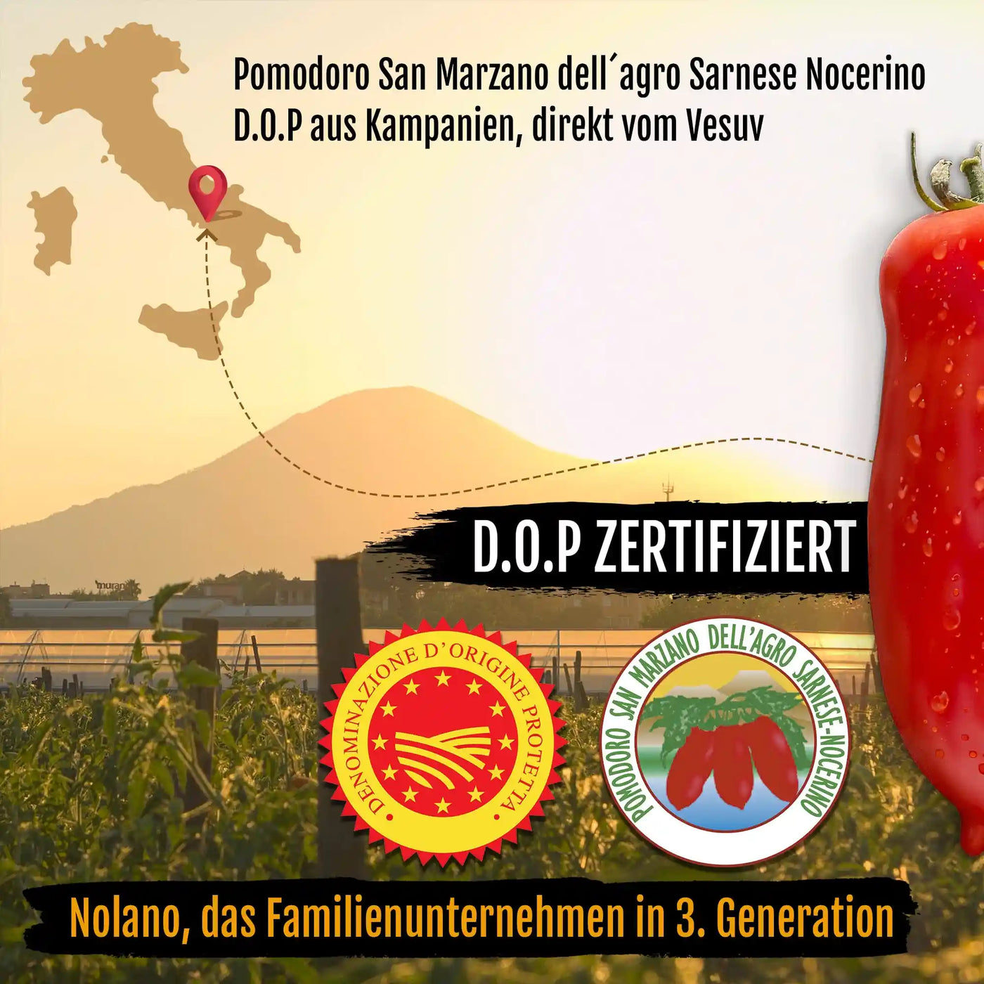 DELICRET - Starter Kit Deluxe - mit Nolano San Marzano DOP Tomaten 🍅